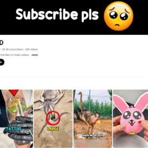 youtube.com/@HeyTEPD
