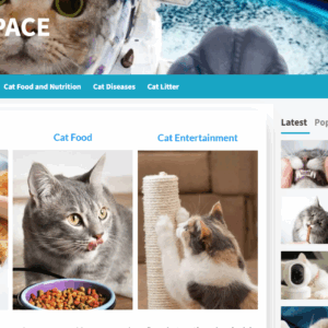 TheCatSpace.com