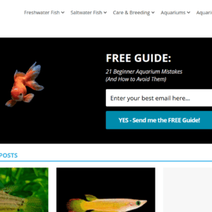 FishKeepingWorld.com