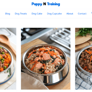 PuppyNTraining.com