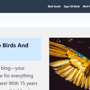 BirdsAndWings.com