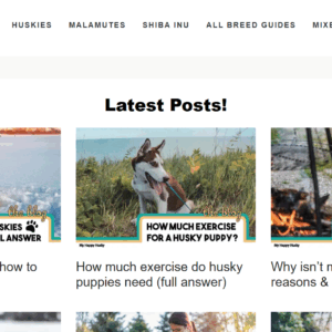MyHappyHusky.com