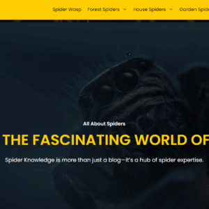 SpiderKnowledge.com