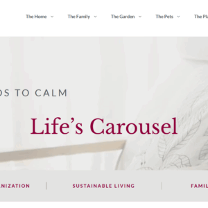 LifesCarousel.com