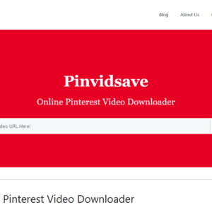 PinVidSave.com
